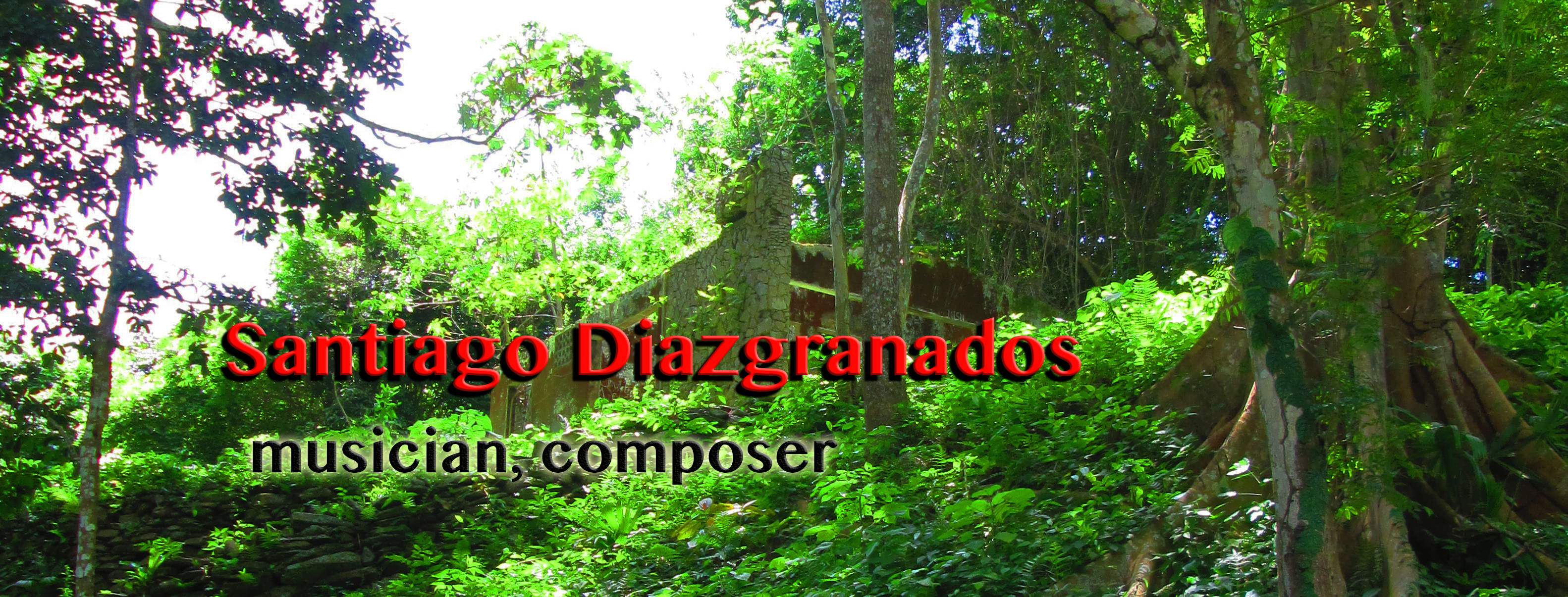 Santiago Diazgranados